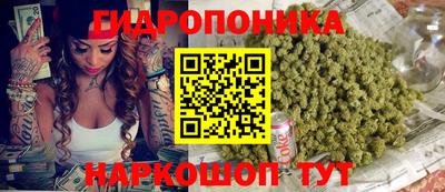 прущий лед Кингисепп